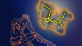 降低新生妈妈分娩过程中存在的危险的药物有望面世