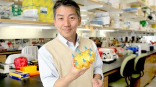 干细胞有望为Hurler综合征儿童患者带来福音