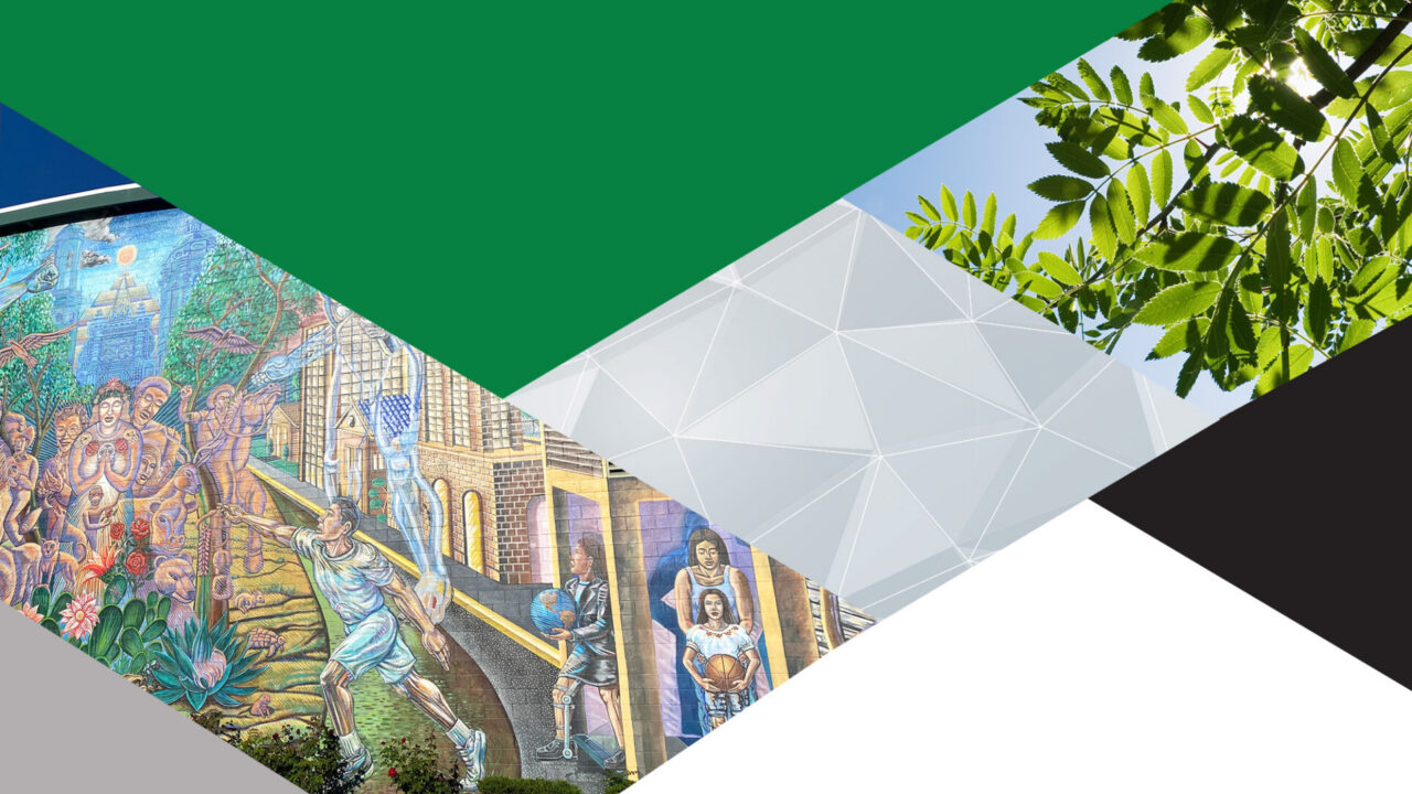 城市林木树冠覆盖遇上环境公平