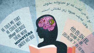 南加州大学科学家图绘脑部活动，诠释三种不同语言对其影响