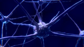 耗资1170万美元打造南加州大学新科研中心，为神经系统研发开源可植入设备