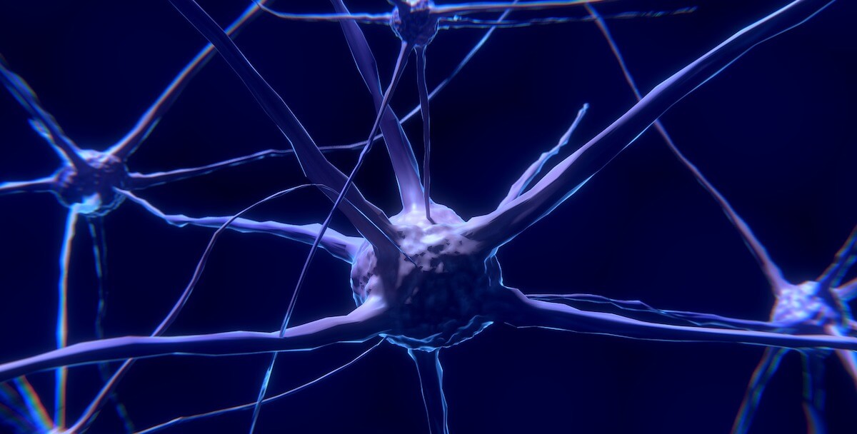 耗资1170万美元打造南加州大学新科研中心,为神经系统研发开源可植入设备