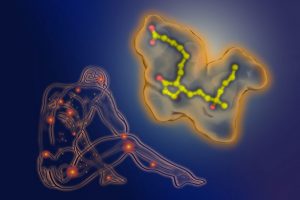 降低新生妈妈分娩过程中存在的危险的药物有望面世-南加州大学中文官网